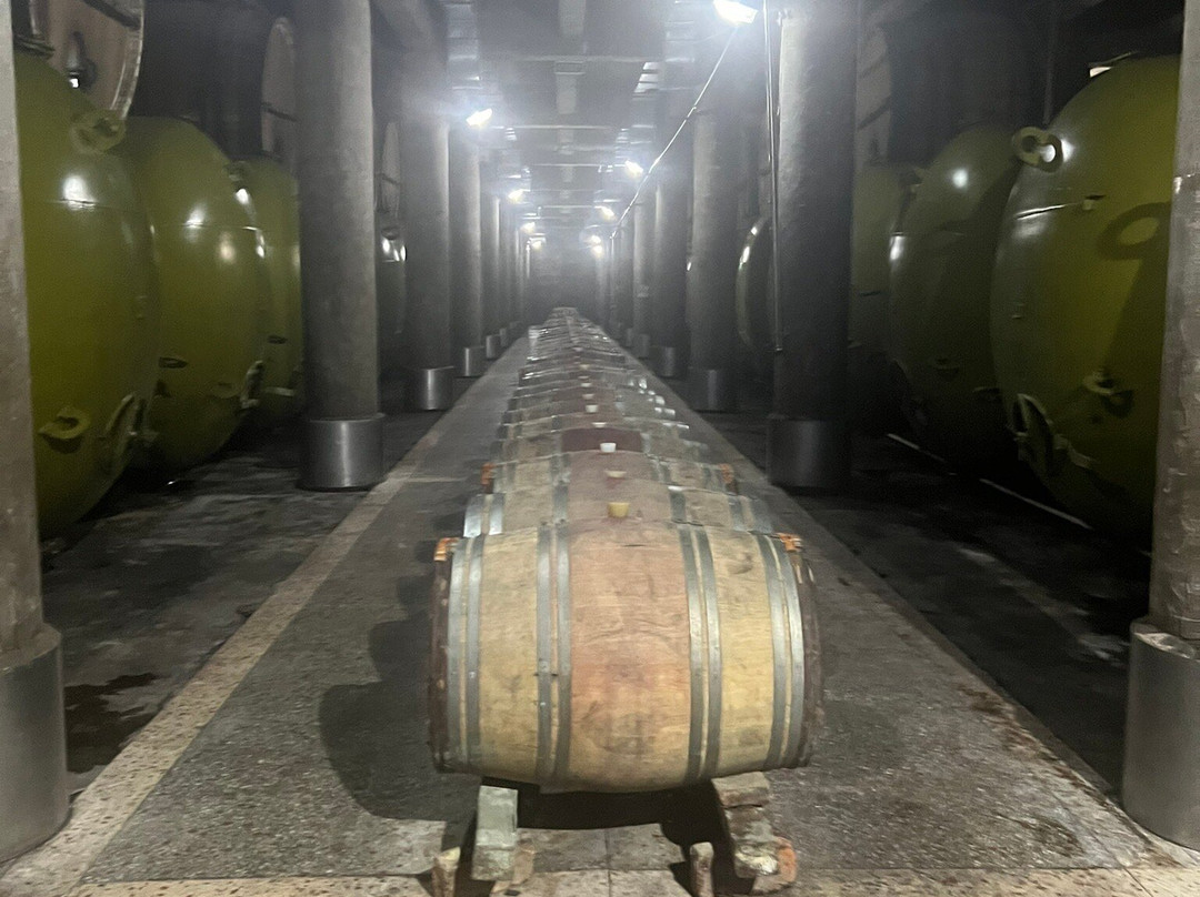Kindzmarauli Corporation Wine House-Kvareli必去景点