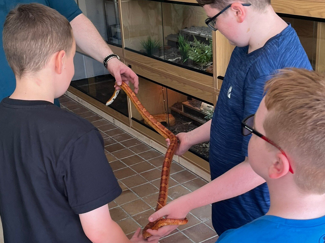 Reptile Encounters Scotland Ltd-Stevenston必去景点