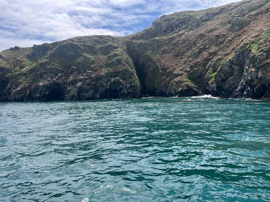 Pembrokeshire Islands Boat Trips-Marloes必去景点