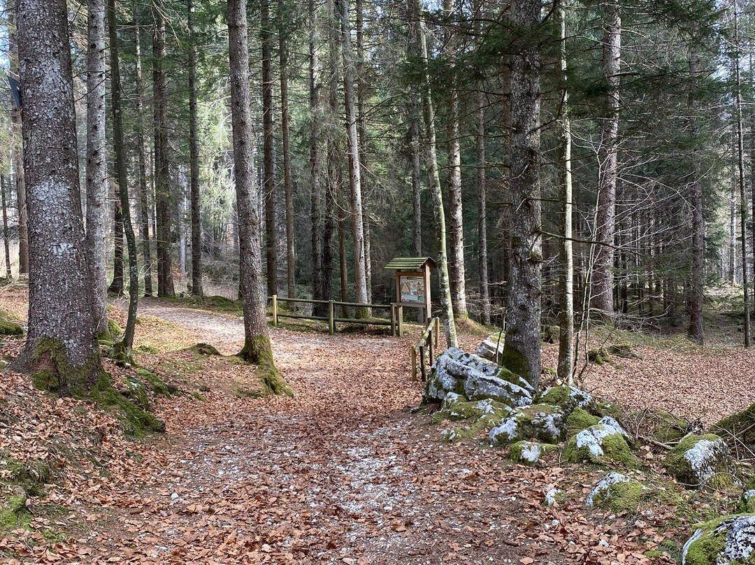 Val di Nos-Gallio必去景点