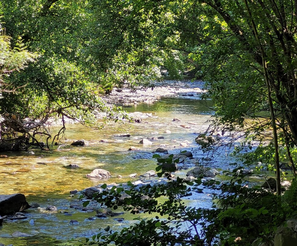 Loch Lomond Faerie Trail-拉斯必去景点