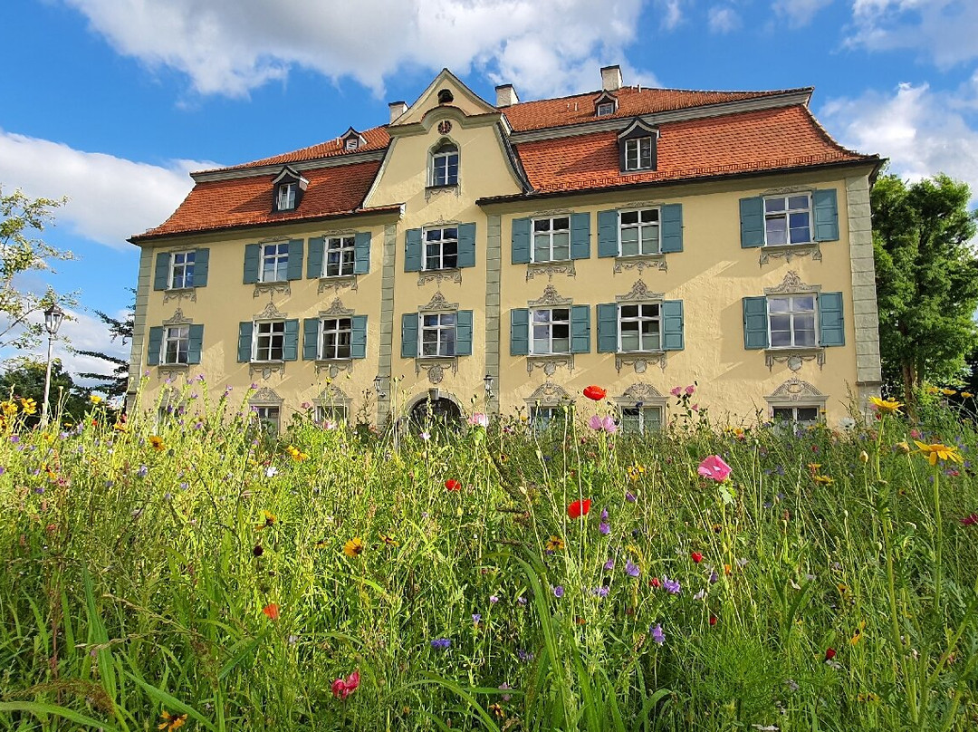 Schloss Neutrauchburg主图