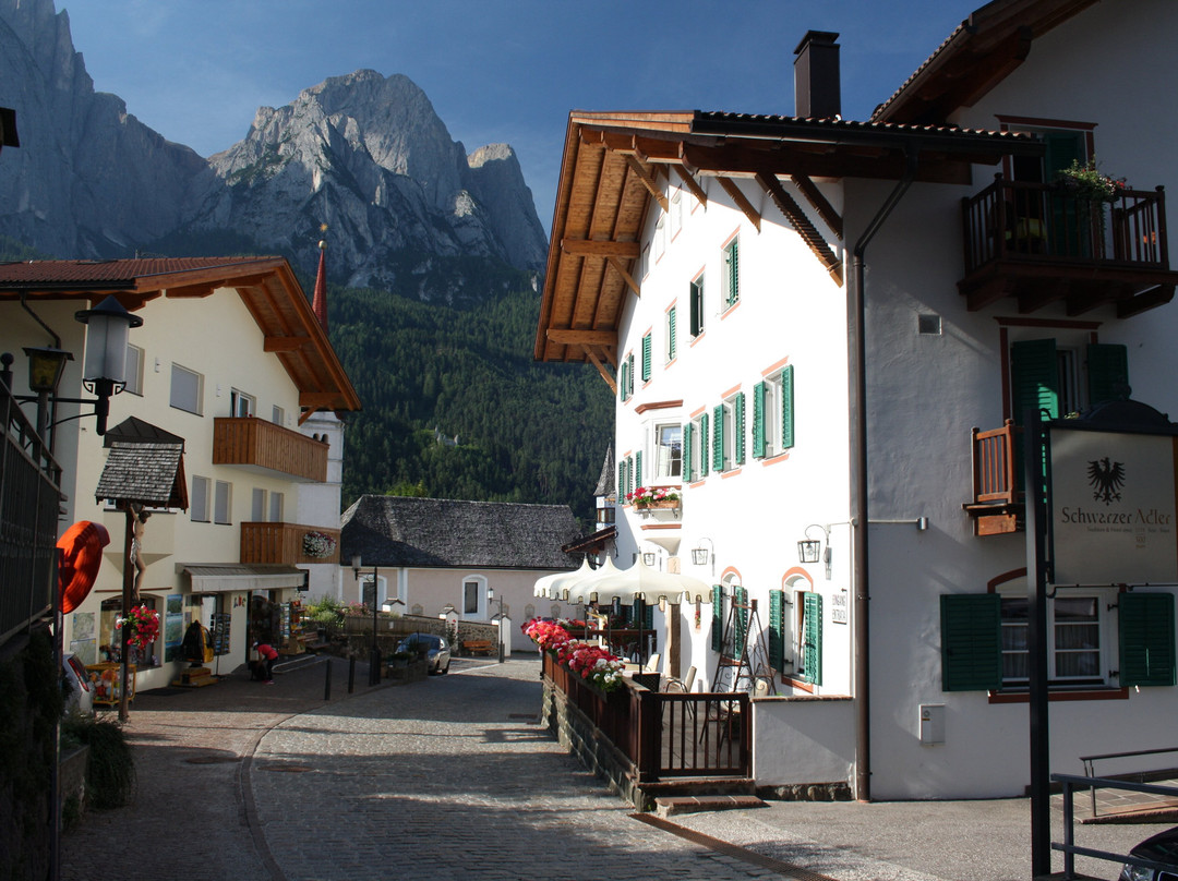 Schwarzer Adler主图