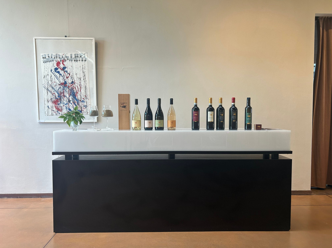 Icario Winery-蒙特普尔恰诺必去景点