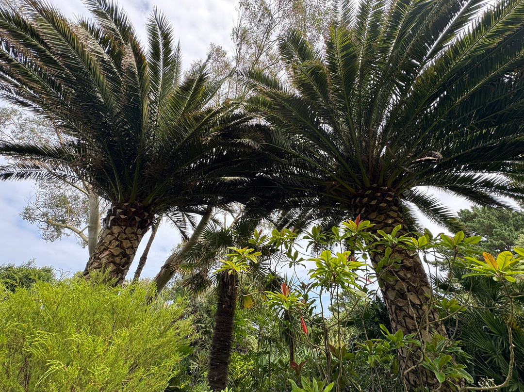 Le Jardin du Pellinec-Penvenan必去景点