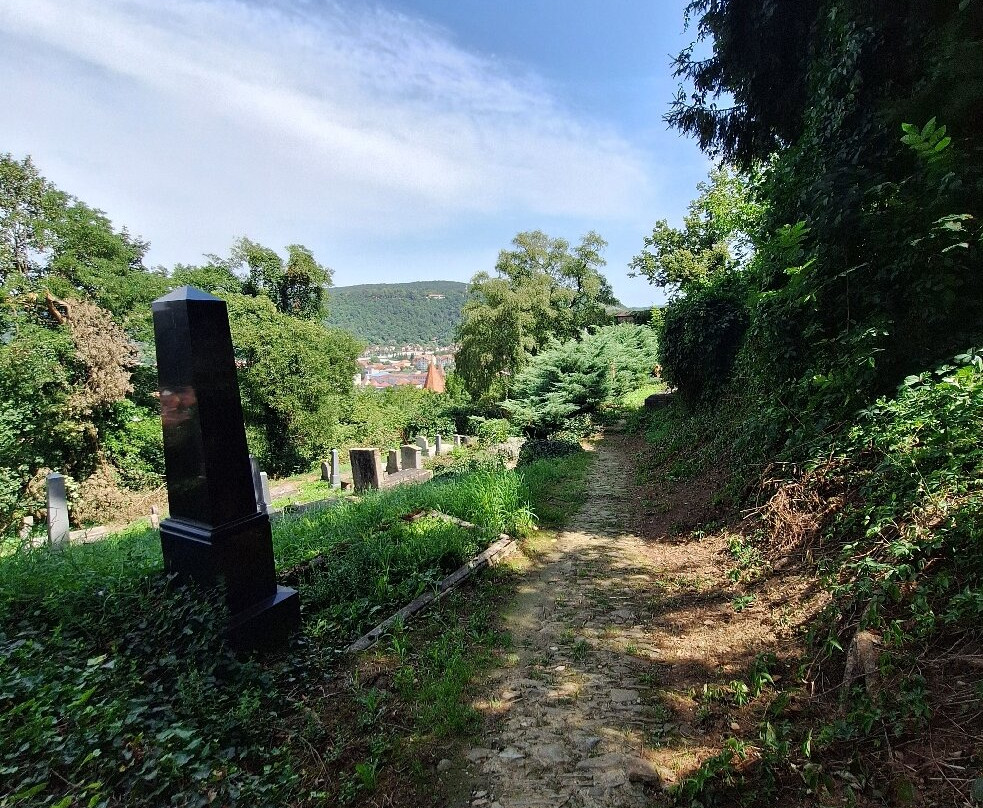 Cementerio aleman de Sighisoara-锡吉索拉必去景点