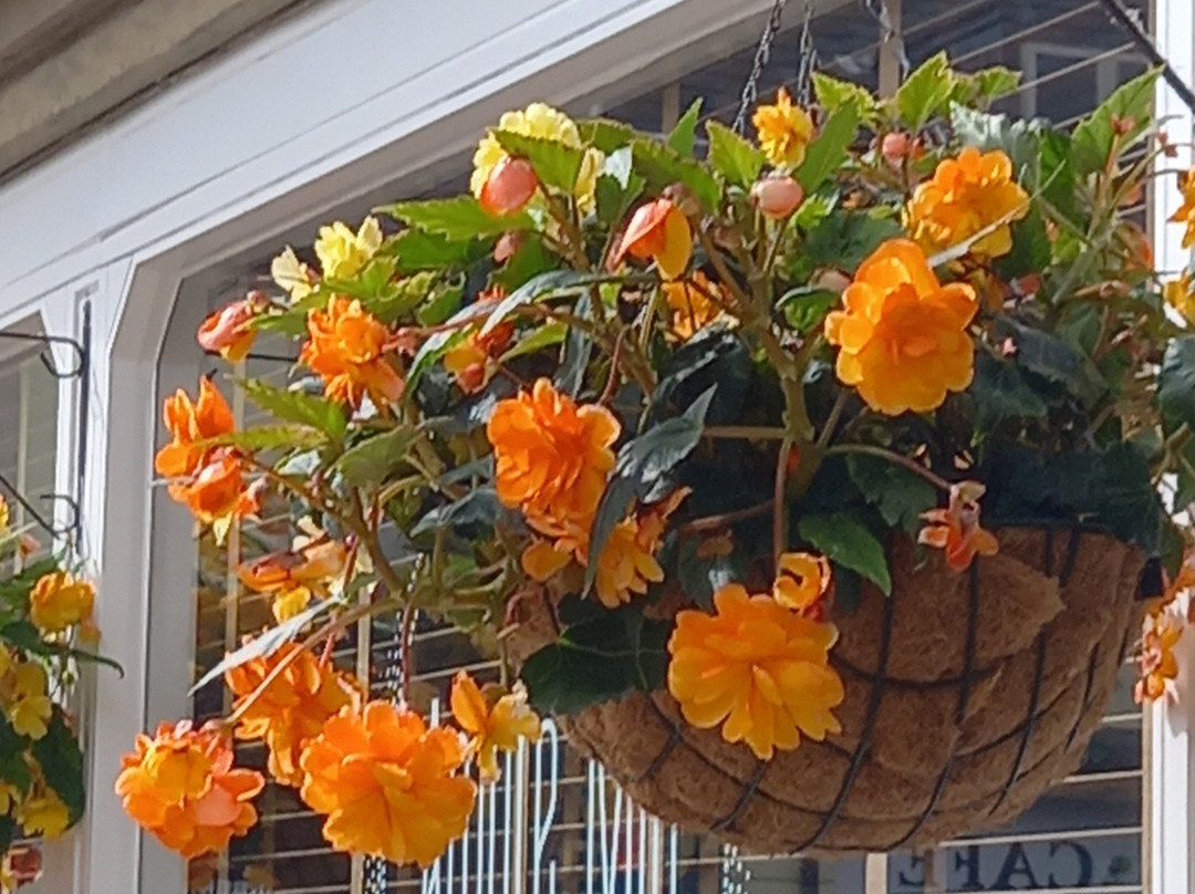 Cirencester Amphitheatre-赛伦塞斯特必去景点