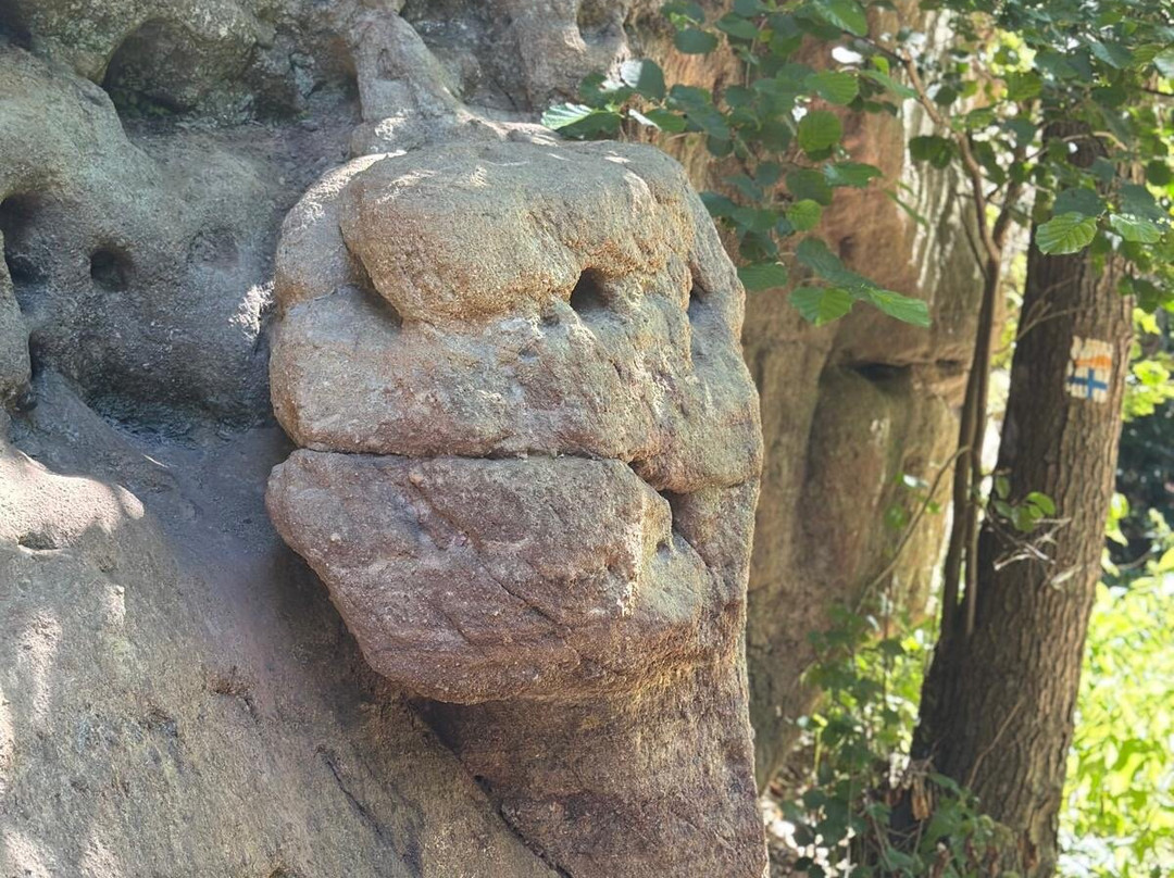 Schwarzachschlucht-Schwarzenbruck必去景点