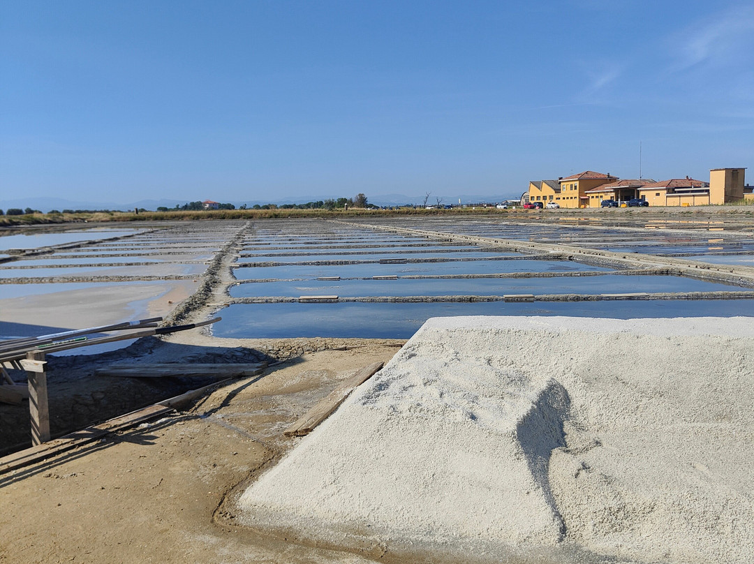 Parco della Salina di Cervia-切尔维亚必去景点