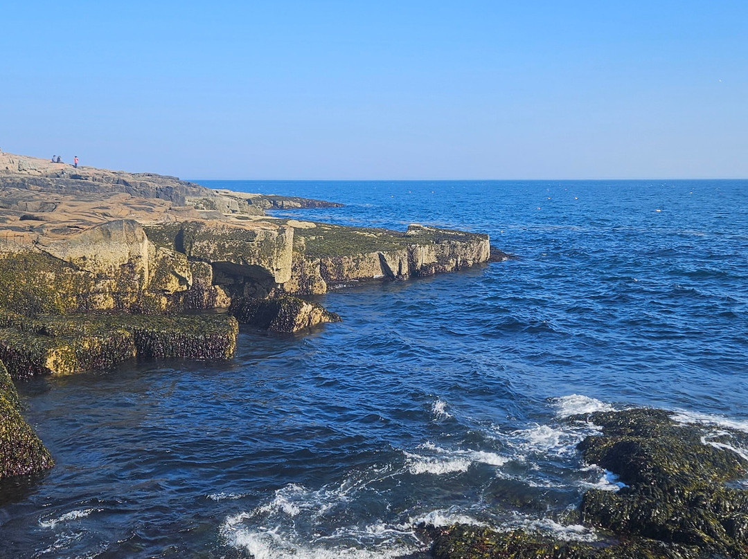 Battle of Aiken Reenactment-艾肯必去景点