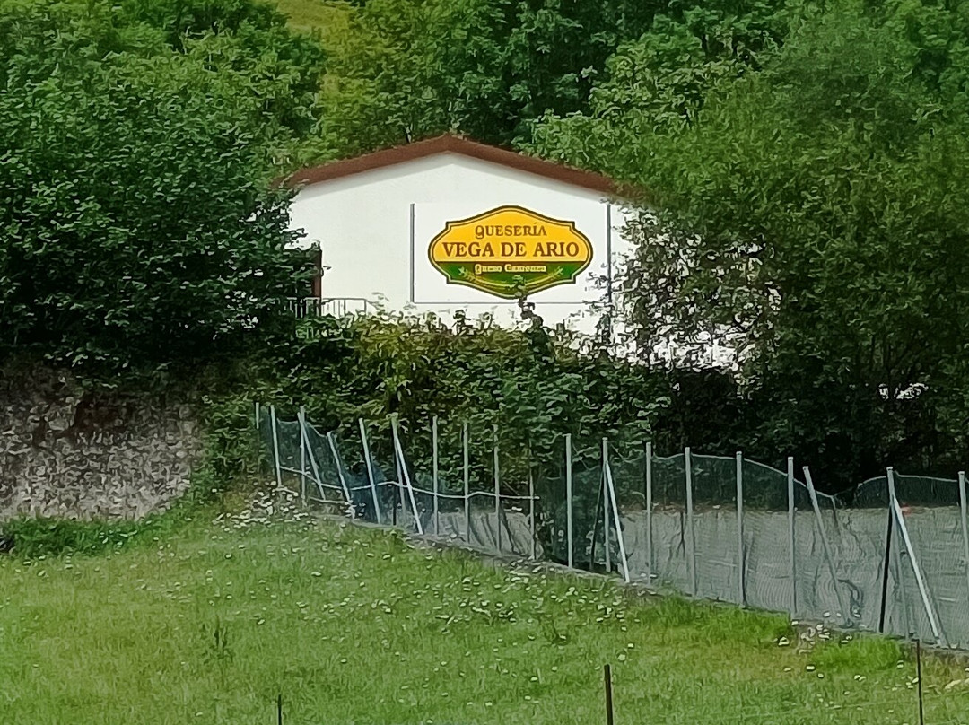 Quesería Vega De Ario