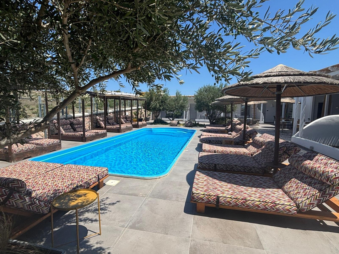 Impressive One主图