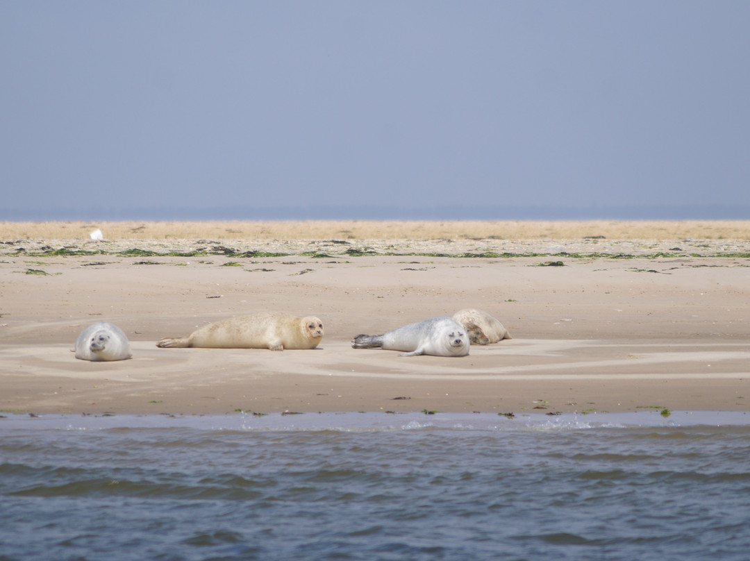 Martha Af Sønderho-Nordby必去景点