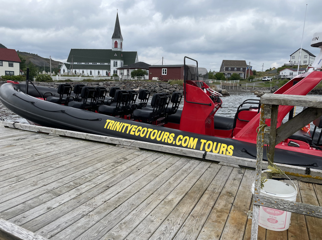 Trinity Eco-Tours-Trinity必去景点