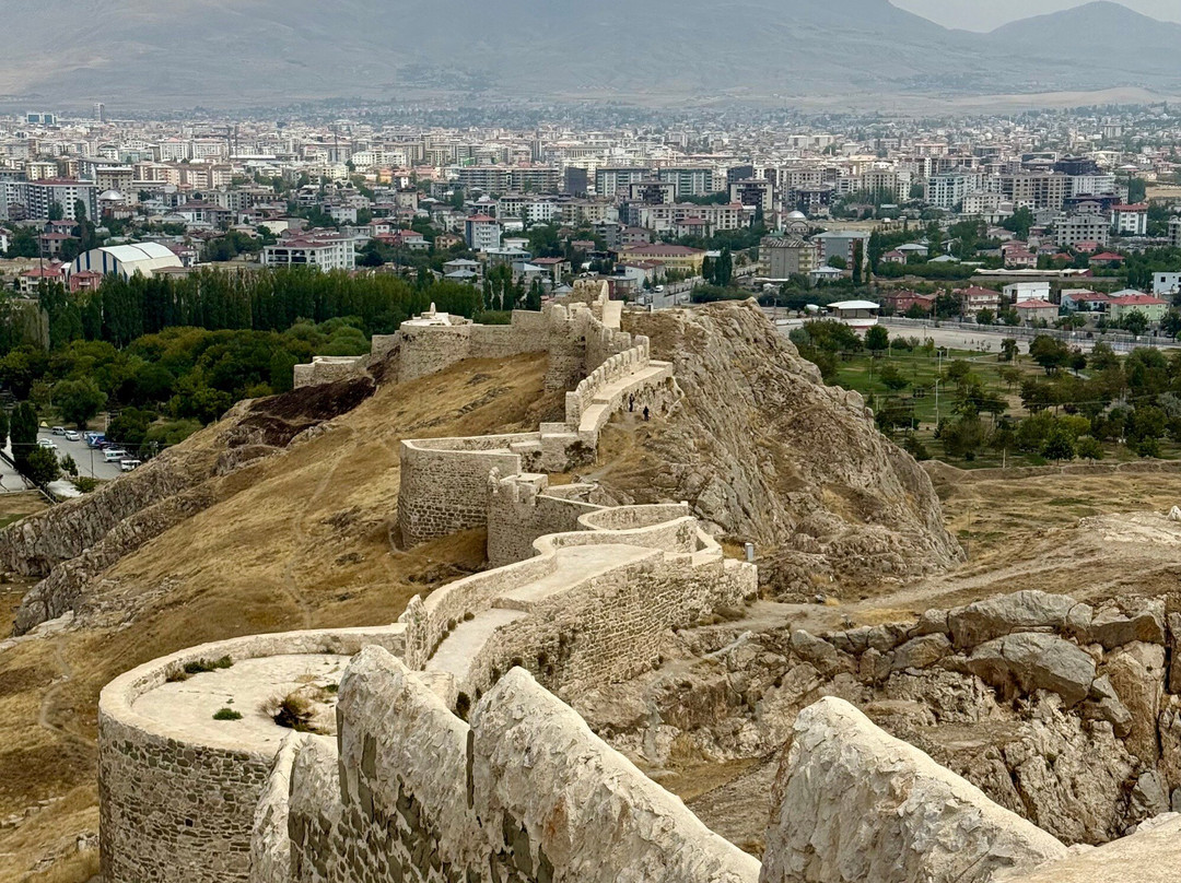 Elite World Van主图