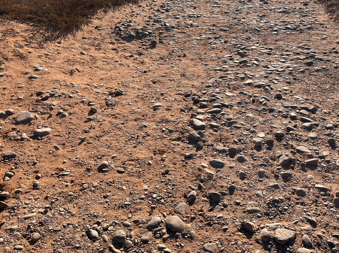 Le Dune Beach-Porto Pino必去景点