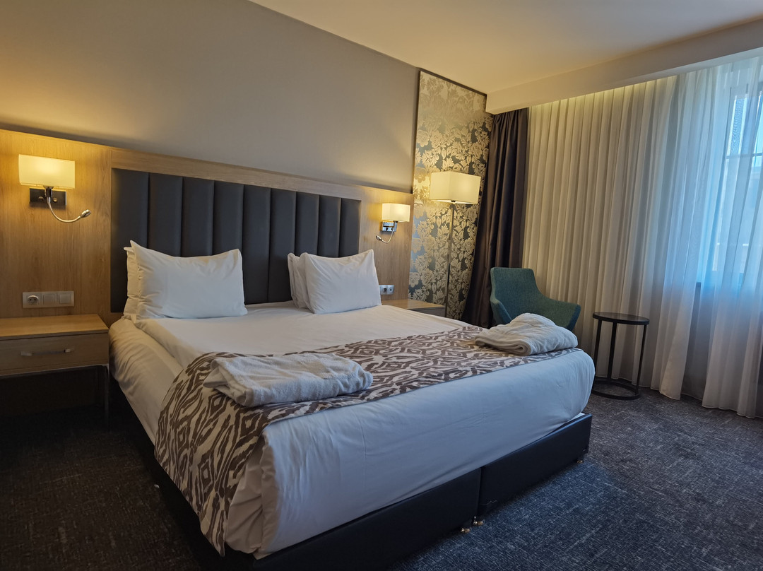 Mercure Nizhny Novgorod Center主图