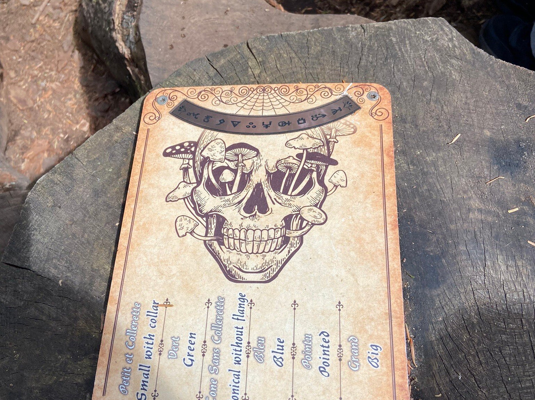 La Forêt Des Arboris-Aydat必去景点