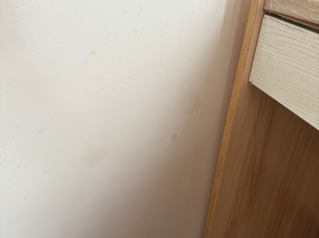 Vilu Thari Inn Maldives主图