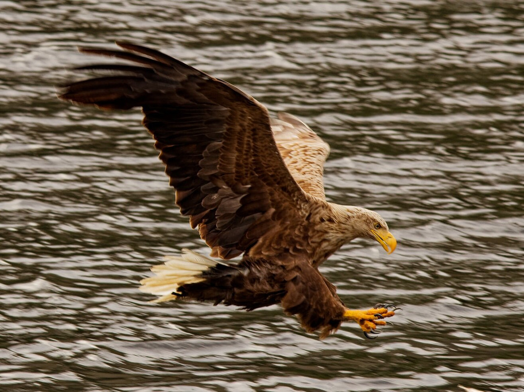 Loch Shiel-Glenfinnan必去景点