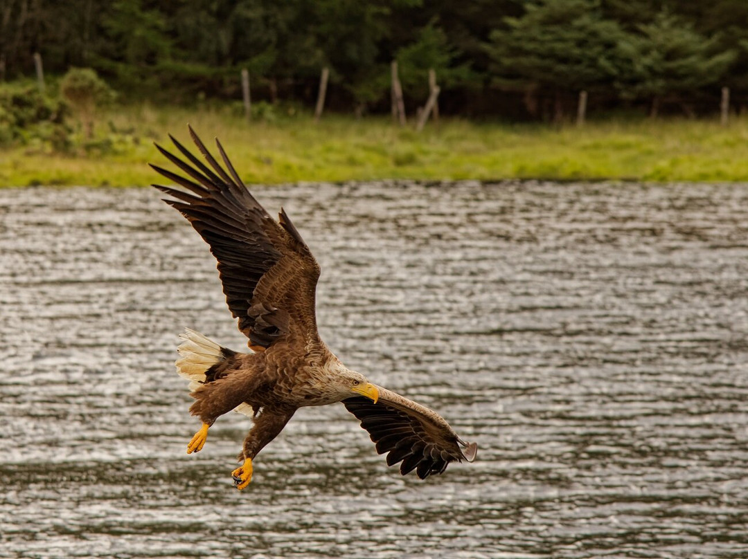 Loch Shiel-Glenfinnan必去景点
