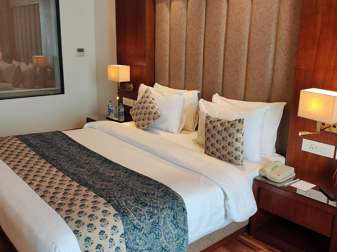 Best Western Plus Revanta主图