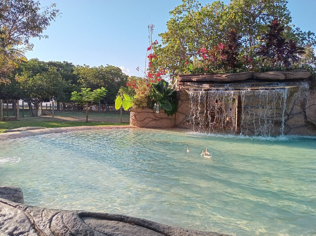 Jardim Japonês-Caldas Novas必去景点