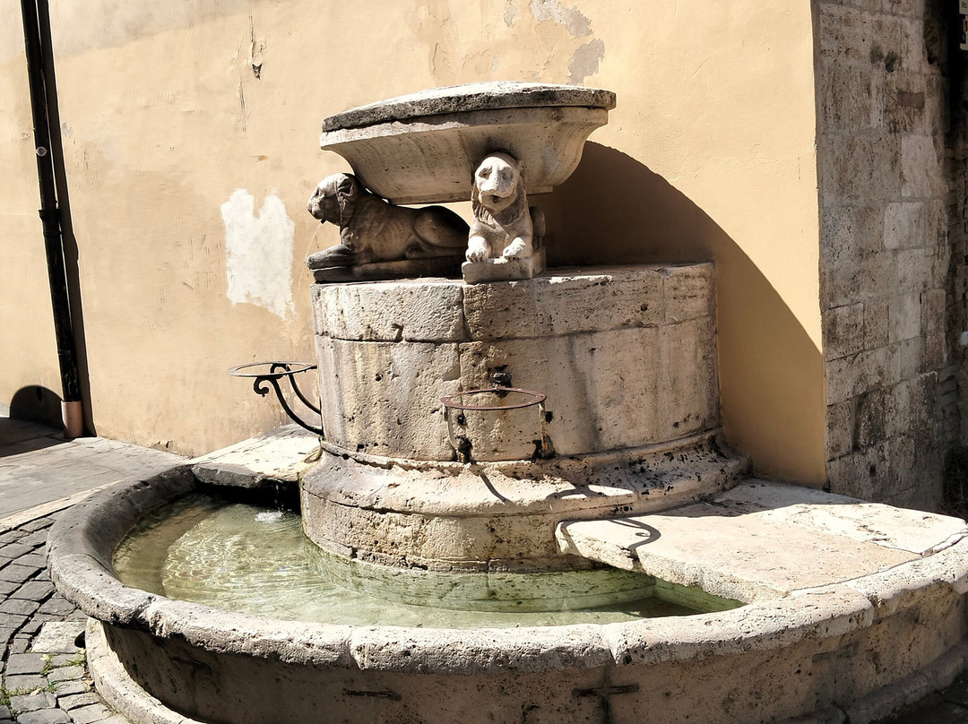 Fontana dei Cani-阿斯科利皮切诺必去景点
