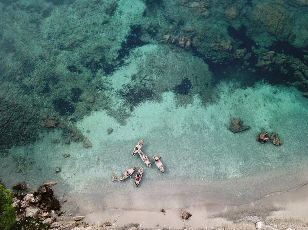 Sea Safari Mallorca-Cala Ratjada必去景点
