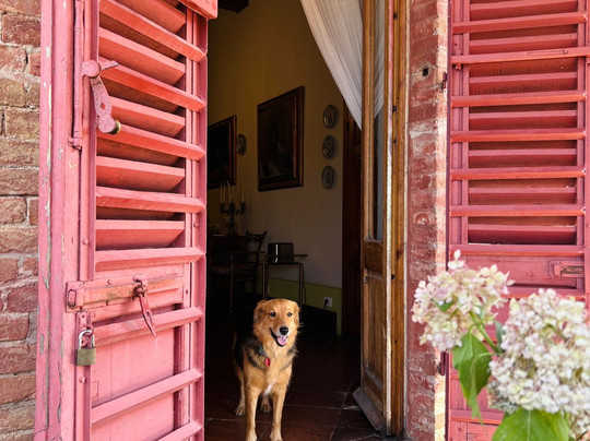 圣·法比亚诺城堡乡村民宿主图