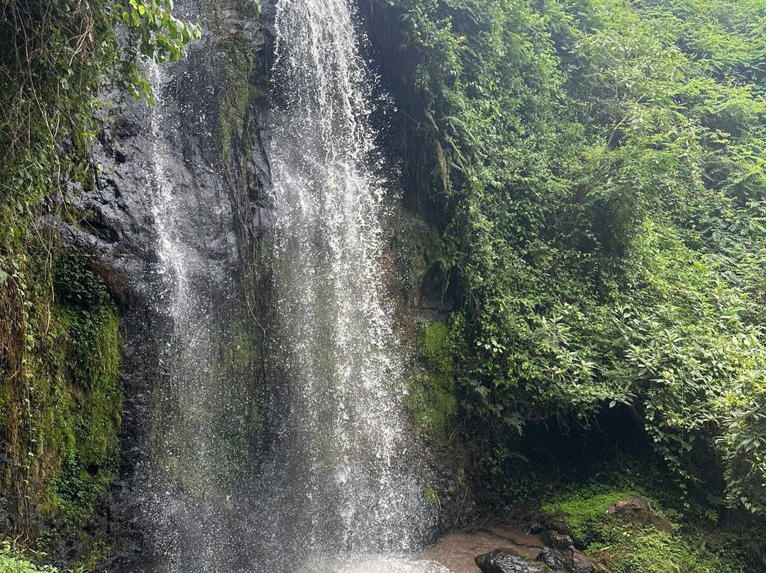 Waterfalls Inn Tigoni-奇安波必去景点