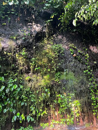 乌布玛雅度假村主图