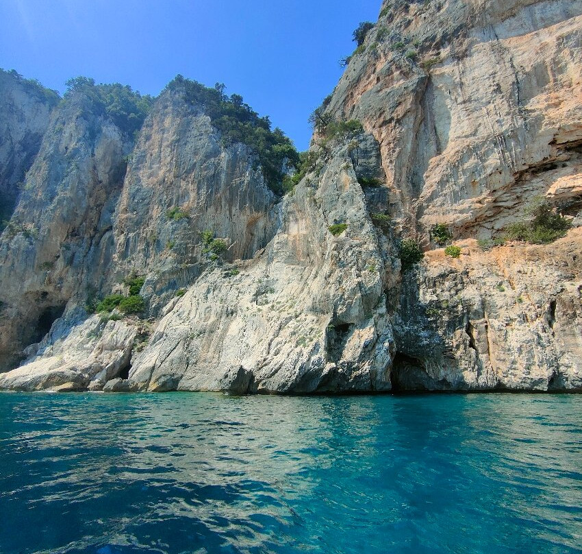 Bluforia Diving Center-Cala Gonone必去景点