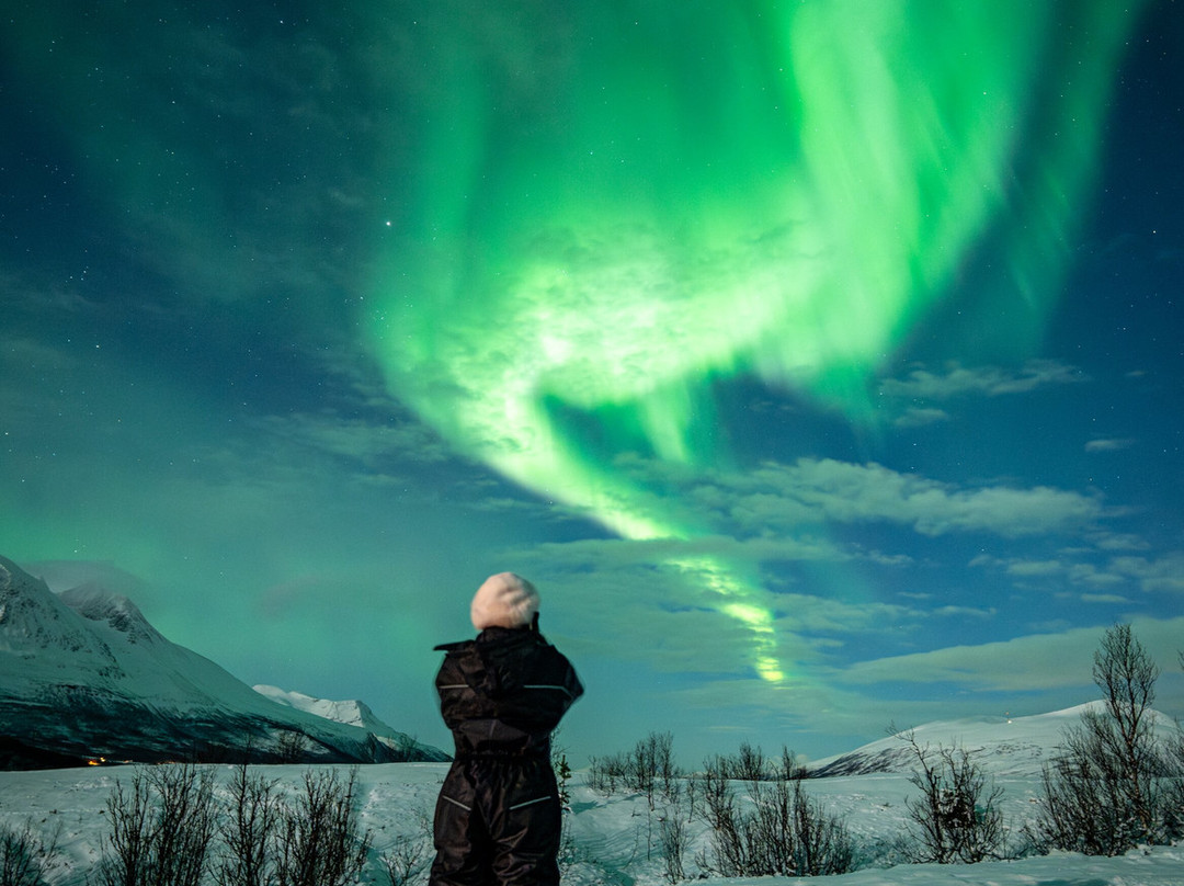 The Arctic Moments-特罗姆瑟必去景点