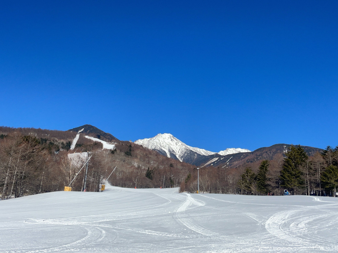 Sun Meadows Kiyosato Highland Park-北斗市必去景点