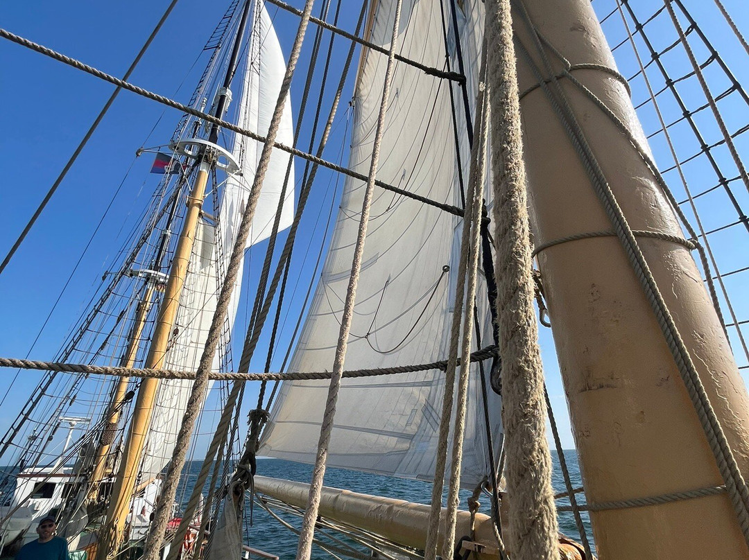 Segelschulschiff Grossherzogin Elisabeth-Elsfleth必去景点