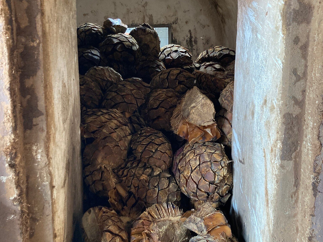 Tequila Cascahuin-El Arenal必去景点