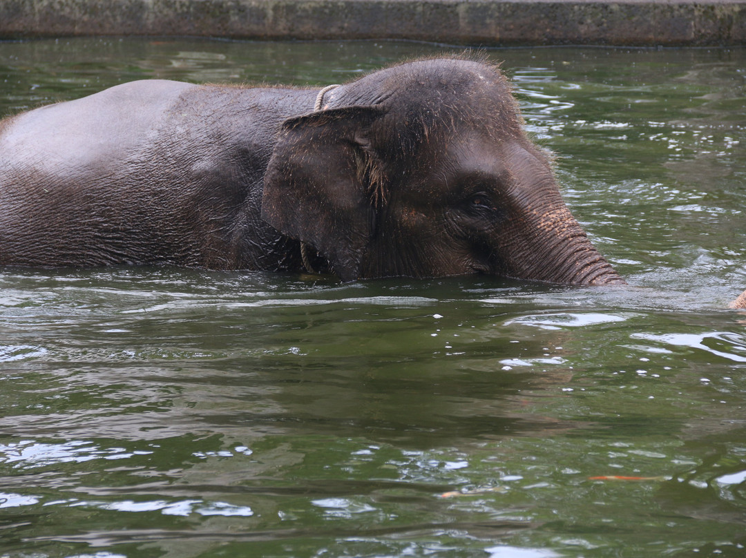 Bali Car Services-库塔必去景点