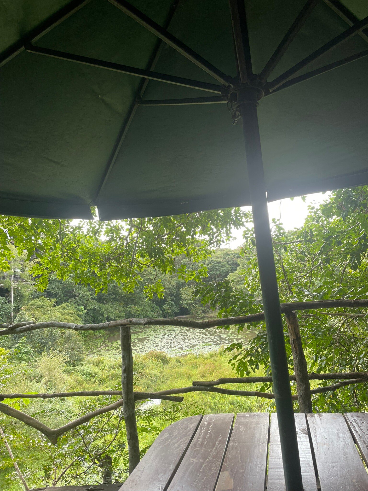 Shimba Hills Lodge-官方