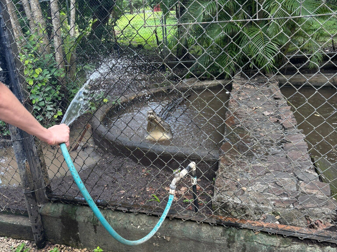 APAMI Wild Life-Portegolpe必去景点