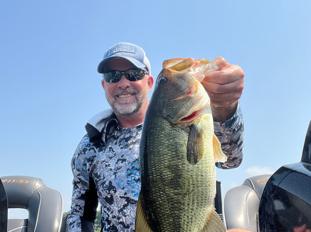 Bridgeview Motel主图