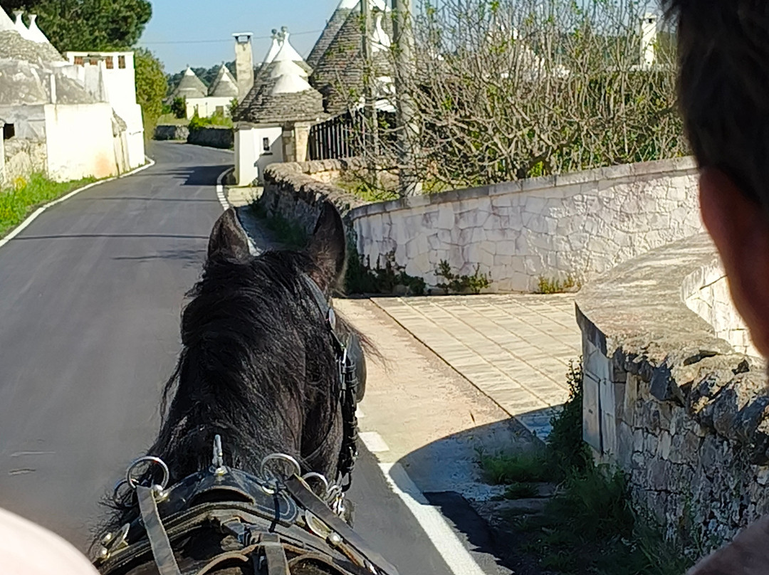 Majestic Horse Club Ride&dine-马丁纳弗兰卡必去景点