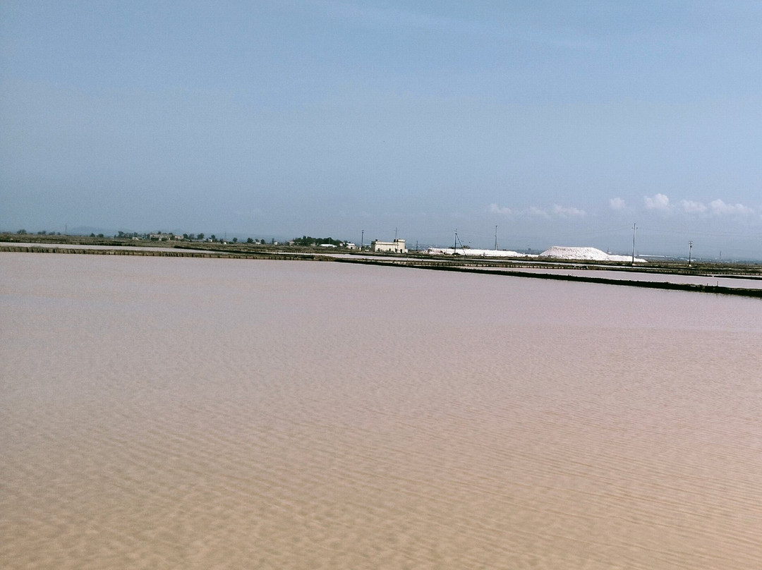 Saline Conti Vecchi-Assemini必去景点