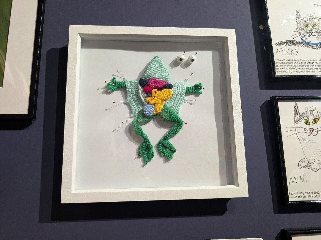 Blackburn Museum & Art Gallery-布莱克本必去景点