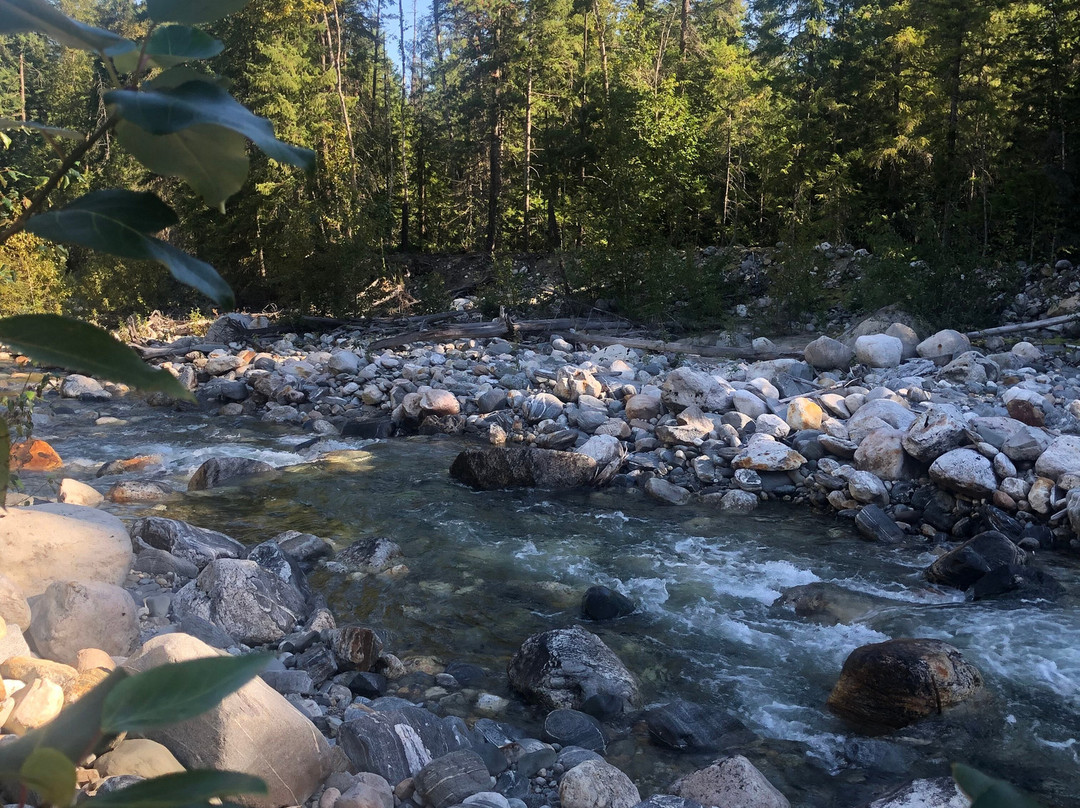 Yard Creek Provincial Park-Malakwa必去景点
