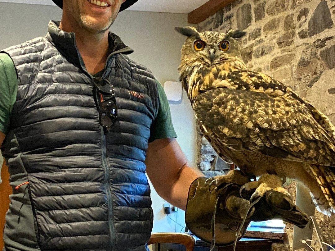 Shieldaig Falconry-盖尔洛赫必去景点