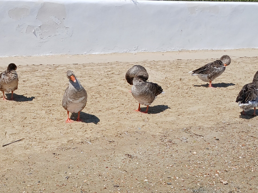 Mantalena Hotel主图