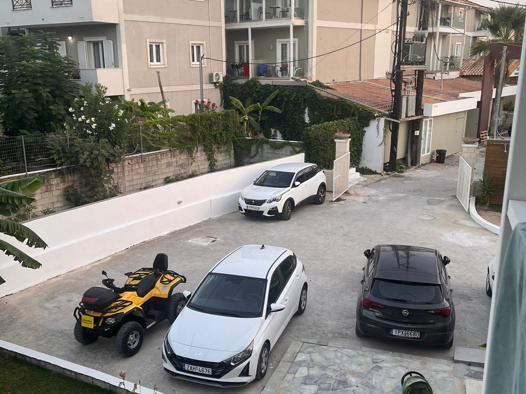 Adorno Di Zante主图