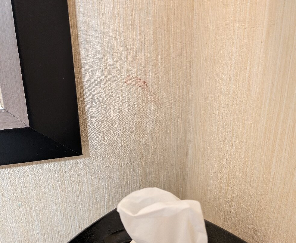 Hampton Inn Glenwood Springs主图