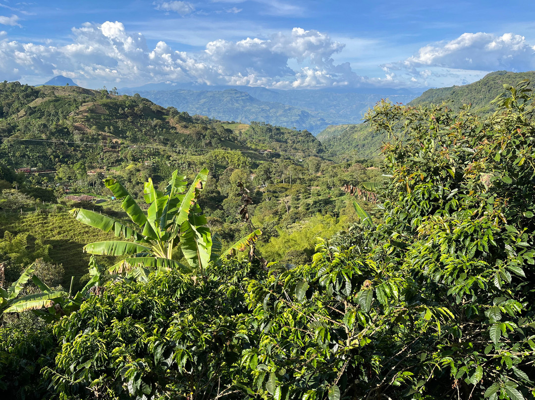 Ecoturismo La Nohelia-Jerico必去景点